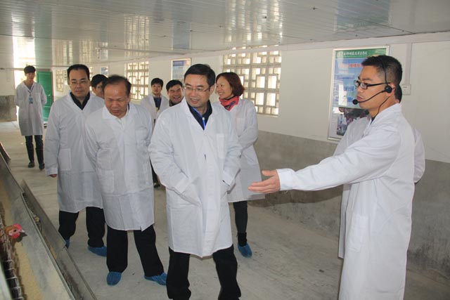 自治区教育厅专家组到广西柳州畜牧兽医学校进